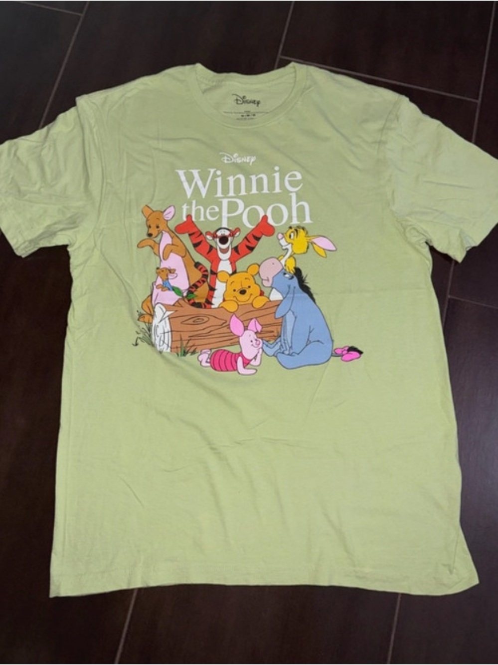 Disney Winnie the Pooh Light Green  Graphic Tee